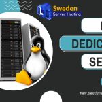Linux Dedicated Server is the Best Procedure for the Safety of the Website
